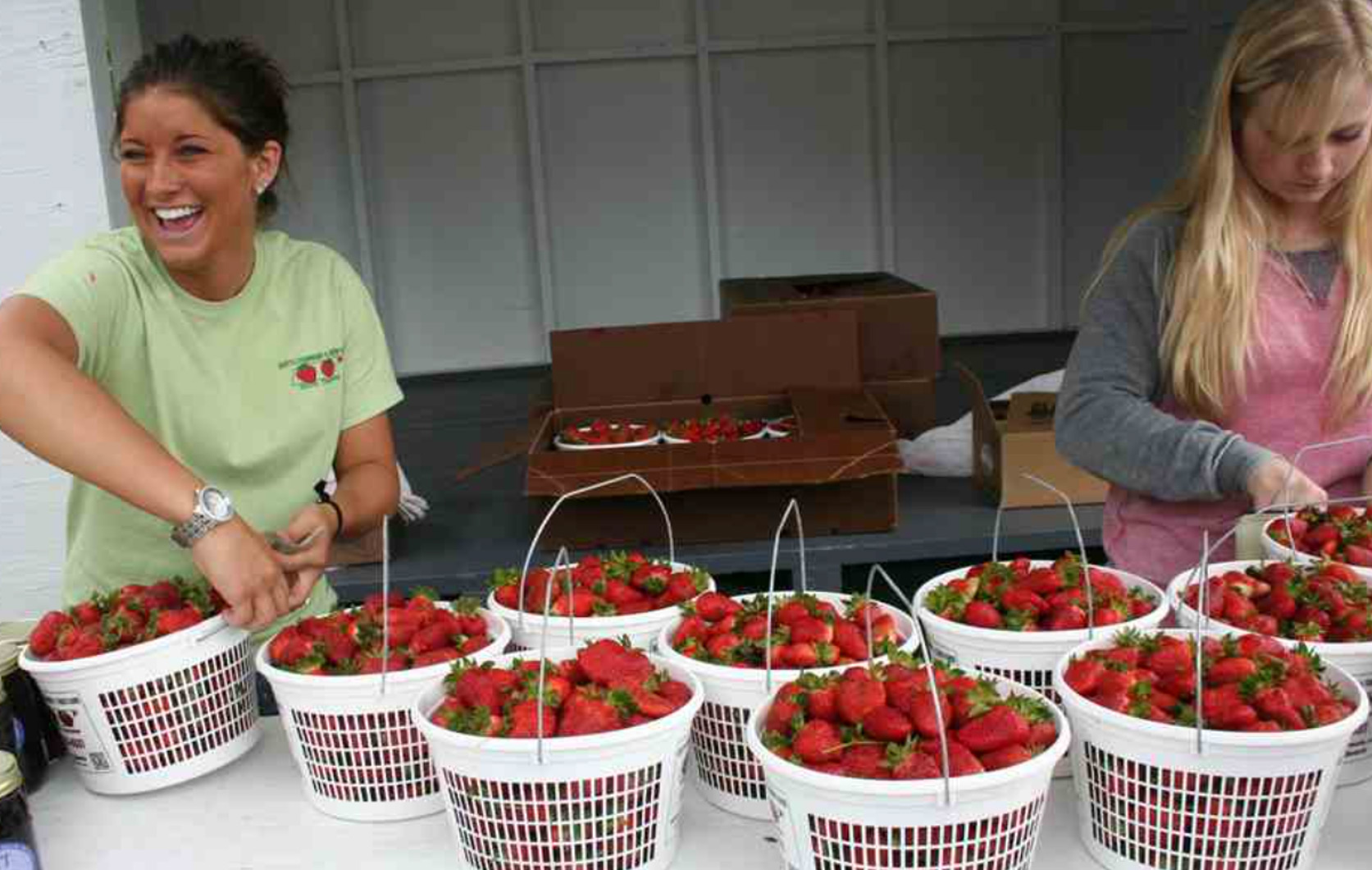 Buy them by the pint, quart, or gallon, Scott’s Farms strawberries are the highlight of the region’s growing season.